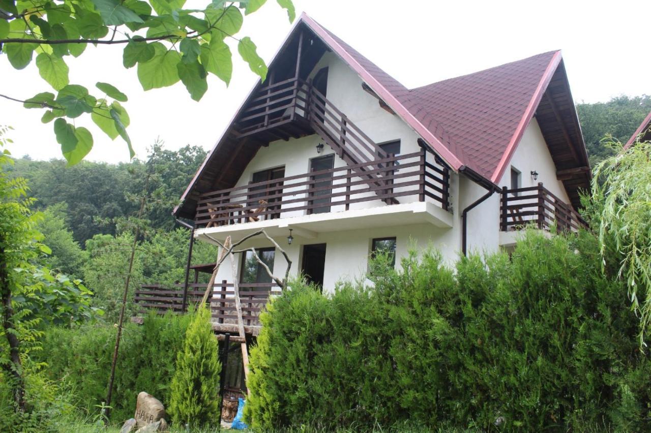 Havva Hotel Călimăneşti Esterno foto