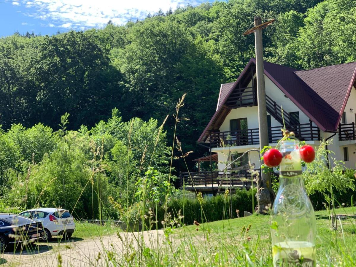 Havva Hotel Călimăneşti Esterno foto