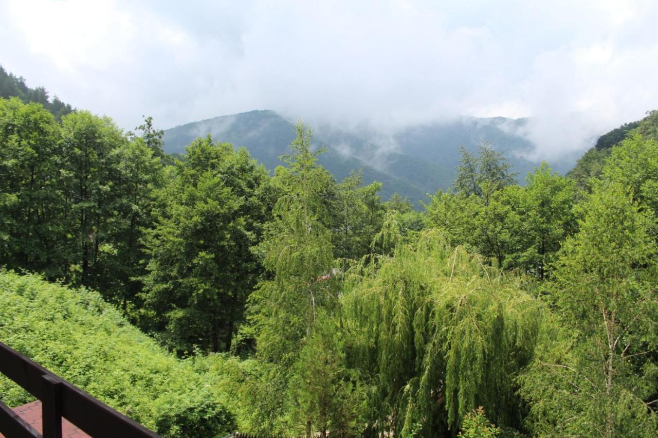 Havva Hotel Călimăneşti Esterno foto