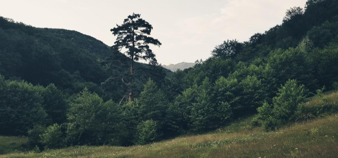 Havva Hotel Călimăneşti Esterno foto