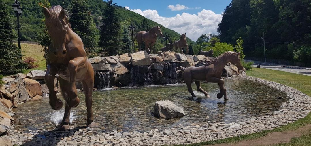 Havva Hotel Călimăneşti Esterno foto