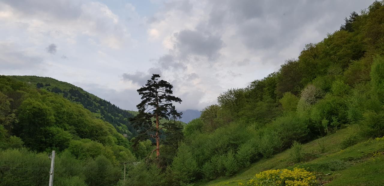 Havva Hotel Călimăneşti Esterno foto
